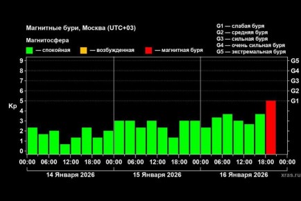 ��� ������ ��� � ������ 2026 ���� �� ����� �������� ��������� ����