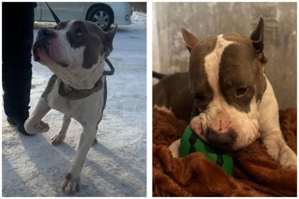 ��� ����� ��������� �� ������� � ������ � ����� ������: � �������� ������� �� ������ ��������� �� ������ ����