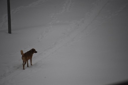 � �������� ������� ��������� � ������, ���������� ��������