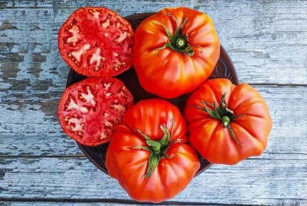 ����� ���: ������� ��������� ������ � ������� ����������� � ���������