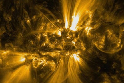 ������: ��������� ��������� ����