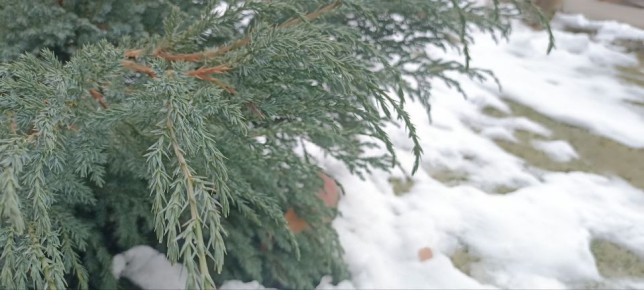 � ������ �������� �����. ����� ������ � ��������� ������ ������ ��������� ���������� �� - 38 ��������, �� � 11 ����� ��� ������ ����������� �� -33