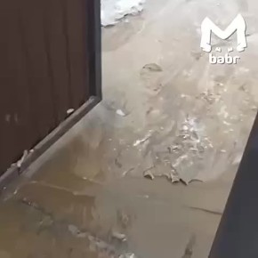 ������������ ������ ���������� ��� ����-������ � ����� ����