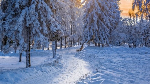 ������ ����, �������!. ����������� �� ������� ���������� ��������! ����������� ���� ��������� ��� ��������� ���������� ������