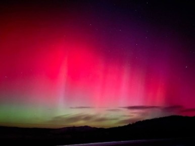 ������� ��� ���� � ����� ������� ����������� �������� ������