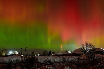 �������� ������ �� ���������� ������