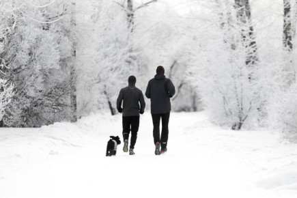 ������ ����!. ���� ������� ���� �� ����� ������� ������ �� ����������