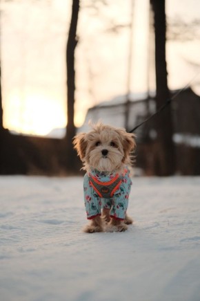 ��������� �� ����������� ����������� �������� �������� ��� ������������ ����������