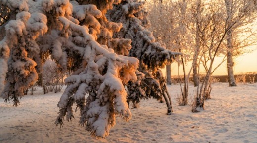 ������ ����, �������!. �����-������ ������ ����������