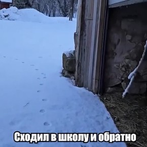 �-��-�-���-��. ����� ����� ��� ���������� ���� � �������