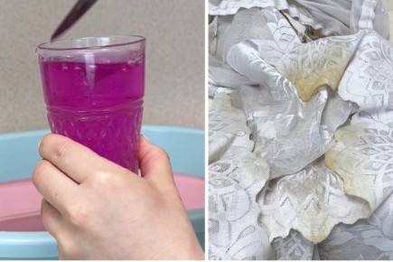 ��� ����� �������� ���� � ������� �����������: ����������� ����������