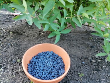 �������� ��������� ��� ���������: ������� �������� ������