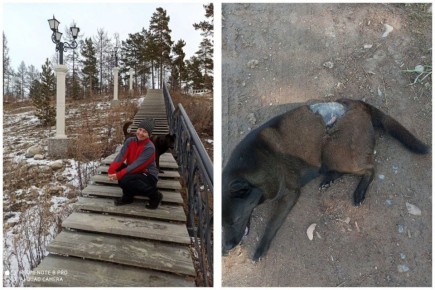 ������������ ������ ��� ��������: ������� ��������� ������ ���� �������� �������������� �� �� �����������