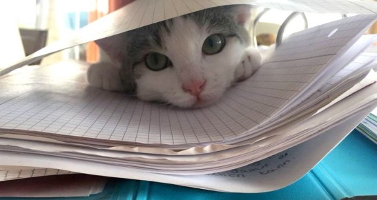 ��������, �� ��������� ������������ 1 �������: ��� ����, �� ������� ���������� ������ ��������� �� ����� ��� � ������� ��������, ������� ����� ������� ��������