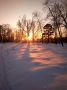 Январский закат. Фото: Елена Амбурцева