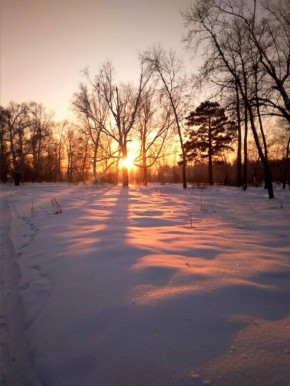 ��������� �����. ����: ����� ���������