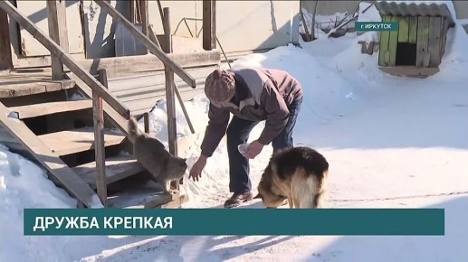 Добрая история покорила интернет