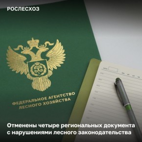 Агентство проводит правовую экспертизу отраслевых документов, издаваемых региональными лесными ведомствами