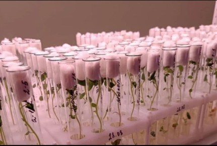 1,9 �������� ������ �������� �� ��������� ���������������������������, ����������� ������� ������� � ���