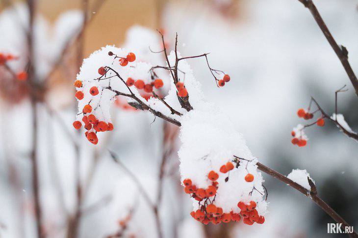 Погода балует. Точно гулять пойдем на выходных!