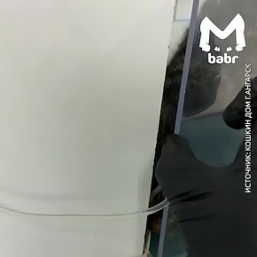 ���� � ������������� ������ ������� � ��������: ������ ������� �� ������ �����