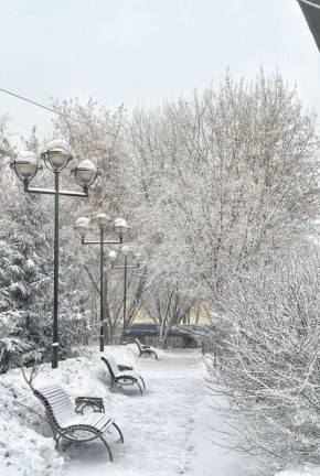 ������ ����, �������!. ����� ������