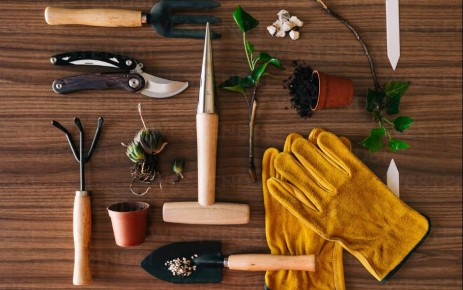 ������� ���������� ����: ��� ������������� �������� � ����� �� ����������