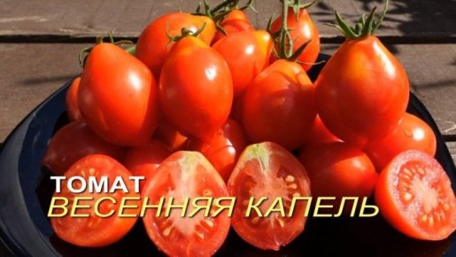 �������� ������ � ������ � ������� ����� ��� ��������� ������