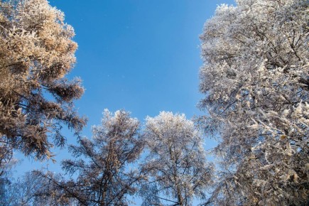 ������ ����!. ����������� ��� ������� ������