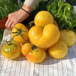 ����� �����: ��������� ������ �� ������ � ������������� �������� �����