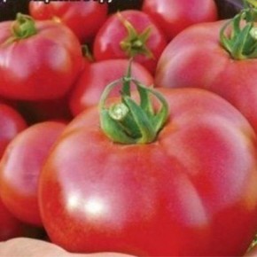 ����� ���� ������: ��������� ����� ��� ��������� ������