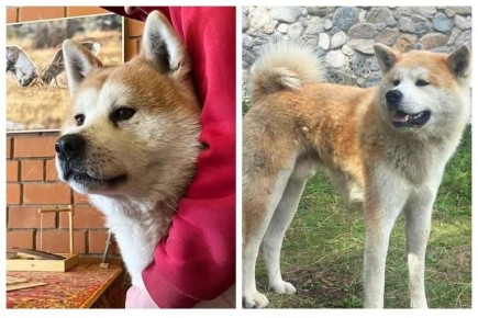 ���������!�: ��� ������ ����� �������� � ����� ����� ���������� ��� ������� � ��������