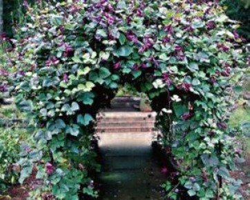 ���������� ������ �� ����������� ����: ������� ���� �� ������ �� ������ �� �������� ����