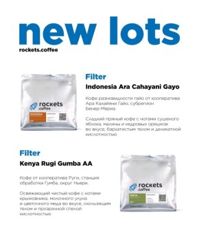 ������ ������ � ����� �������� ��������