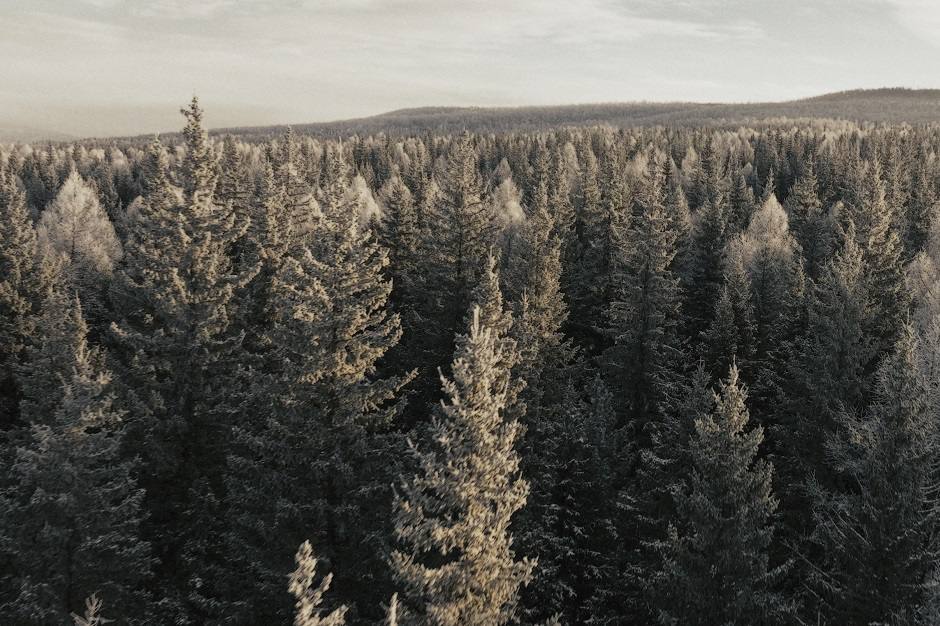 Иркутян приглашают на бесплатный показ фильма «Спутники» Иркутян приглашают на бесплатный показ фильма «Спутники»