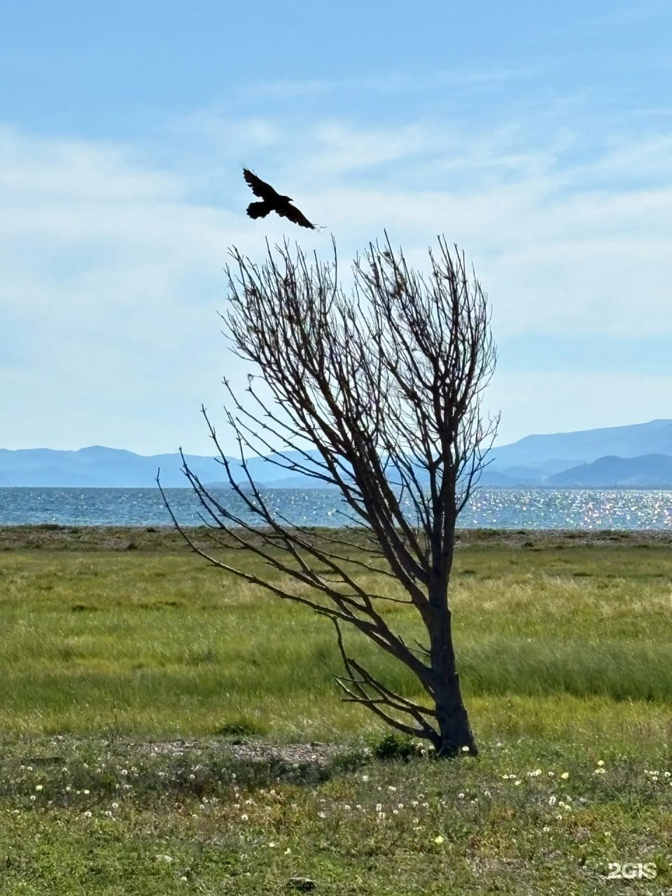 Четыре фотографии из Иркутской области вошли в число победителей конкурса 2ГИС «100 кадров года» Четыре фотографии из Иркутской области вошли в число победителей конкурса 2ГИС «100 кадров года»