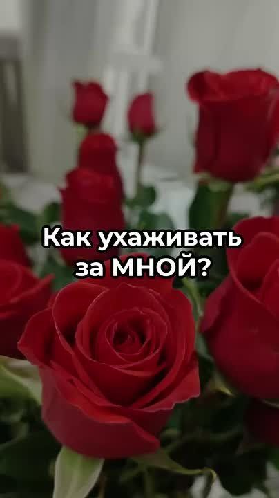 Цветы — это больше, чем просто украшение интерьера