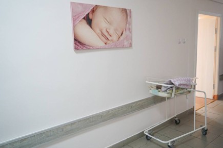 Около 1,7 тысячи бесплатных процедур ЭКО проведут жительницам Иркутской области в 2026 году