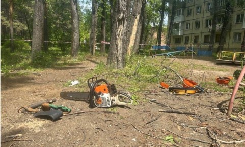 ����������� ��������� � ��� ��������� ���� � ����������, ��������� ������ ���� ������� � ��������