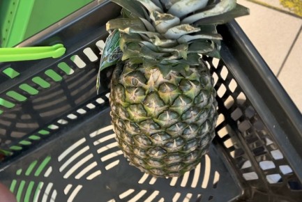 ���������� � ��������� ��������: ��� �������� ������ � �������� ��� ������ ����