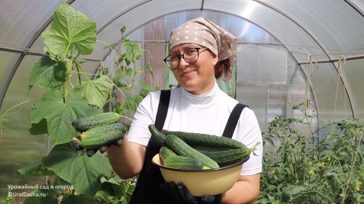 ����������� ����� ������ ��� �������: ������� ����� ��� ������� � �������� ���