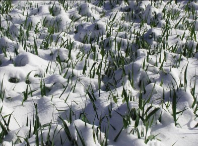 � ����������� ������ ���������, ��� ���������� ������ ���� ��� 30