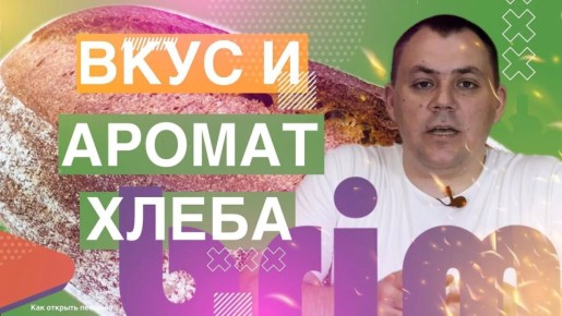 Баланс брожения в закваске: как вкус и аромат хлеба рождаются во времени и составе