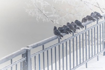 Доброе утро!. Предпоследний месяц зимы и рабочая неделя уверенно движутся к финалу