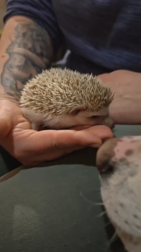 Доброе утро, Иркутск!. Сегодня нас ждет переменная облачность, без существенных осадков, ветер юго-восточный 49 м/с, температура -14,-16°