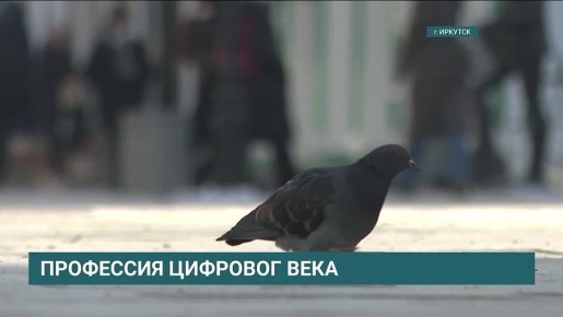 Отечественные компании все чаще нанимают специалистов по искусственному интеллекту