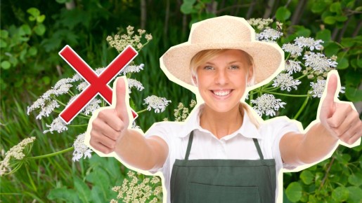 ��������� ����� ������ �� �������� ������: ��� 3 �������� ������� �� ��� ��������