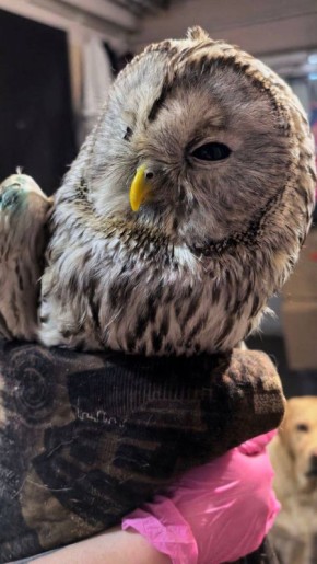 ��������� ������� ������� � ���� �����