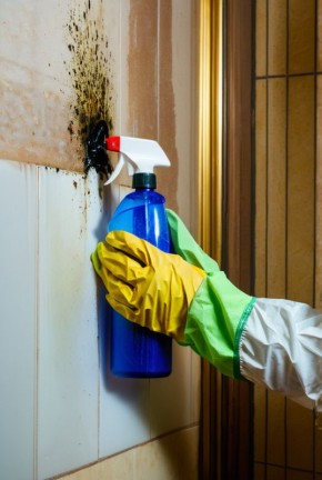 ������ ������� � ����: ��� ������� �������� � ��������� ������� ����