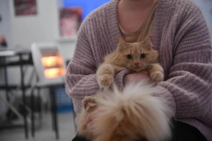 ����� ���������� ���������� ����� ��-�� ���������� ��������� � ������� ���� � ������� 30 ������